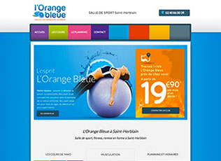 Creation site professionnel avec Digitaleo - Orange Bleue Saint-Herblain
